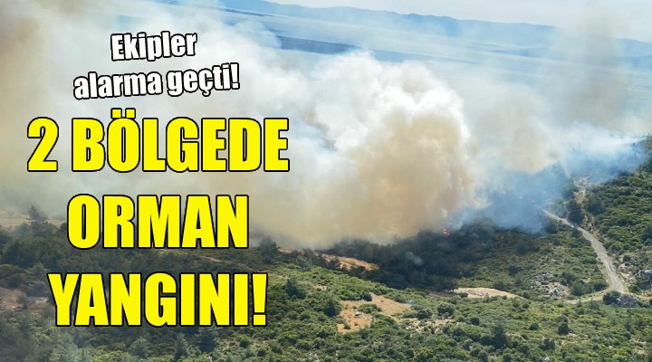 İzmir'in iki bölgesinde orman yangını!