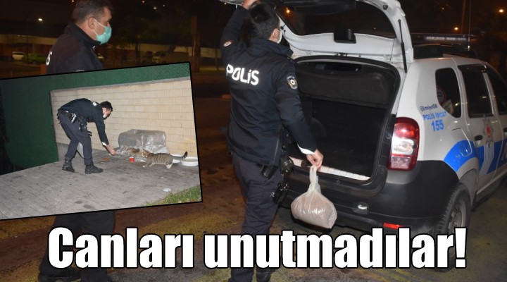 İzmir polisi, kısıtlamada sokak hayvanlarını unutmadı