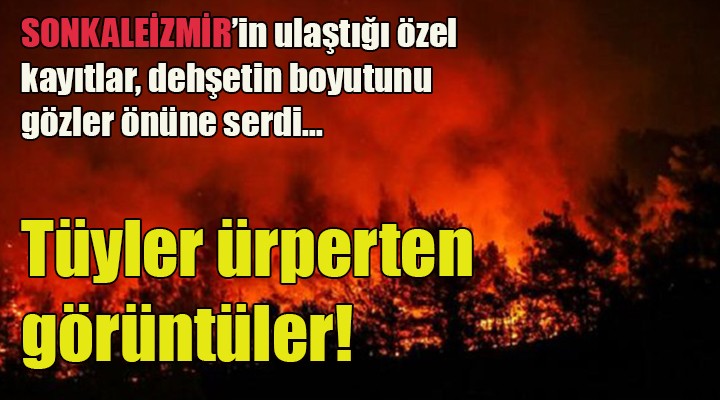İzmir yangınıyla ilgili tüyler ürperten görüntüler! SONKALEİZMİR in ulaştığı kayıtlar dehşetin boyutunu gösterdi