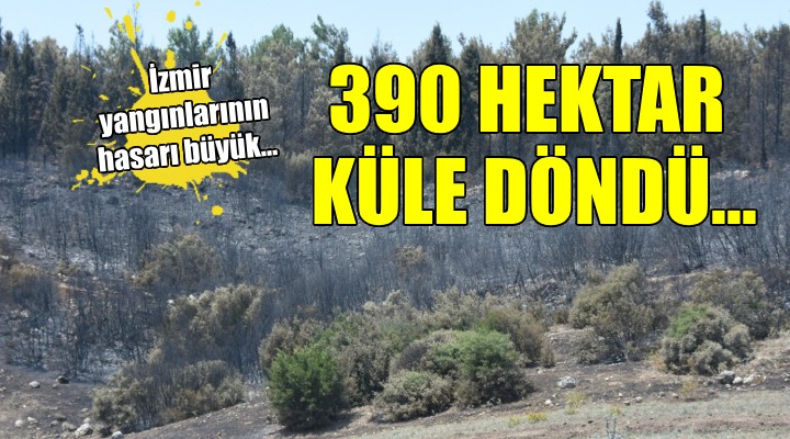 İzmir yangınlarının hasarı büyük...