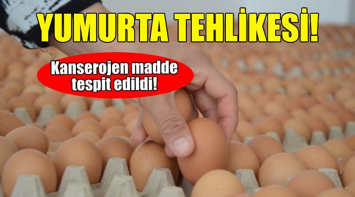 İzmir’de kanserojen yumurta tehlikesi!
