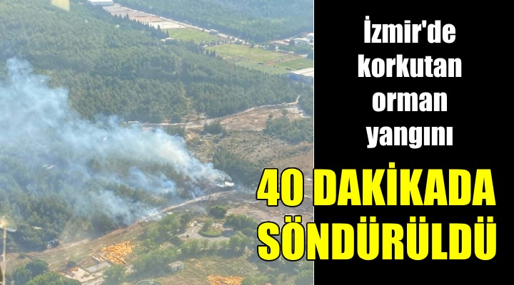 İzmir’de orman yangını... 40 dakikada kontrol altına alındı!