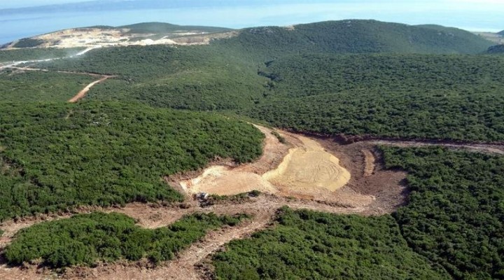 Kalker ocağı projesi için 1500 ağaç kesilecek