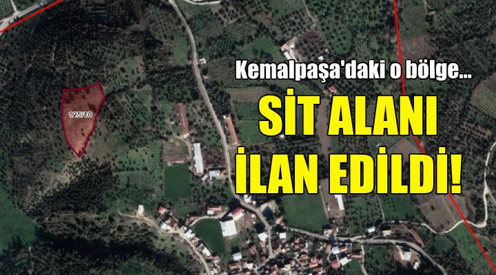 Kemalpaşa daki o bölge 1. derece SİT alanı ilan edildi!