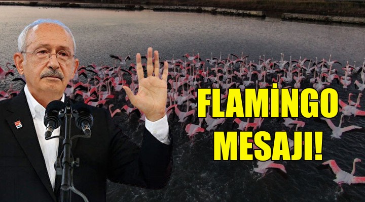 Kılıçdaroğlu ndan flamingo mesajı!