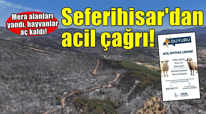 Seferihisar'dan acil çağrı... Hayvanlar aç kaldı, üretici zorda!