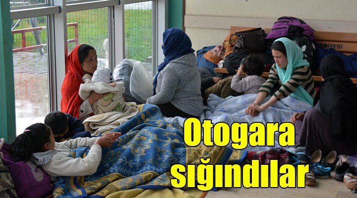 Sınırı geçemeyen göçmenler Dikili Otogarı na sığındı