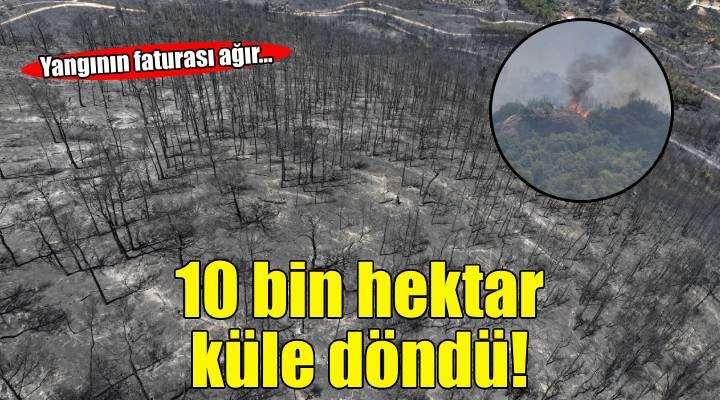Son üç günde çıkan yangınlar yaklaşık 10 bin hektarlık alanı küle çevirdi