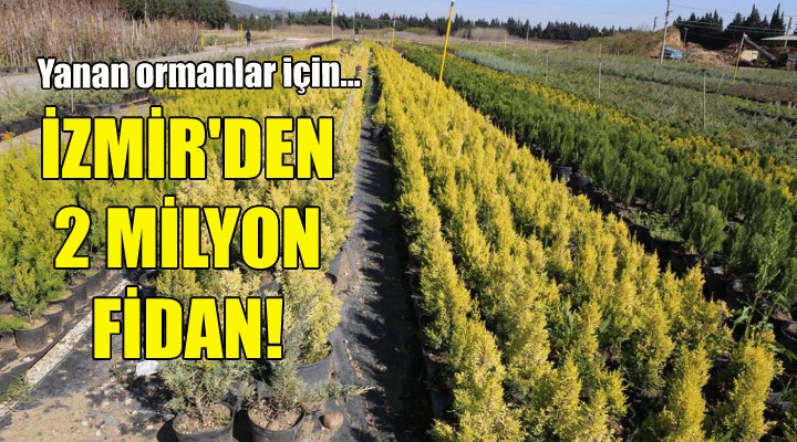 Yanan ormanlar için İzmir den 2 milyon fidan!