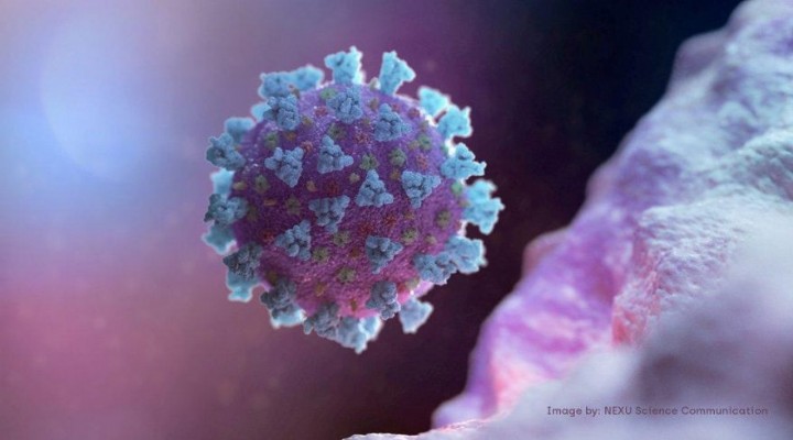 Yeni bir koronavirüs tespit edildi: 10 kat daha tehlikeli!
