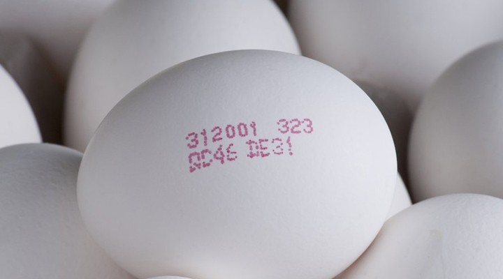 Yumurtaların üzerindeki kodların anlamı...