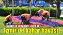 İzmir'in cadde ve sokakları çiçek açtı!