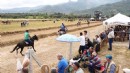 Rahvan atlar Tire'de yarıştı
