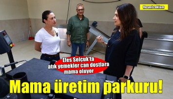 Efes Selçuk’ta atık yemekler mama parkuruna, mamalar can dostlarına gidiyor