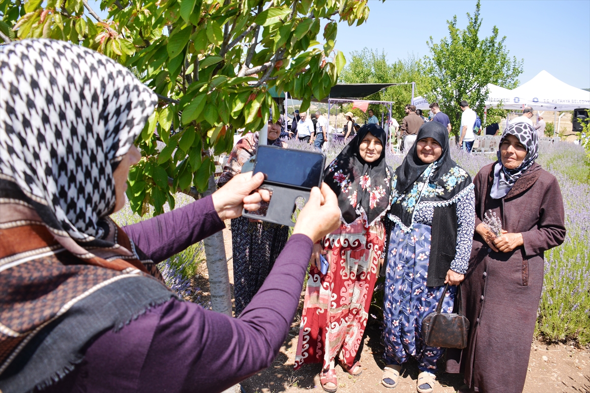 Kütahya'da lavanta hasat etkinliği düzenlendi