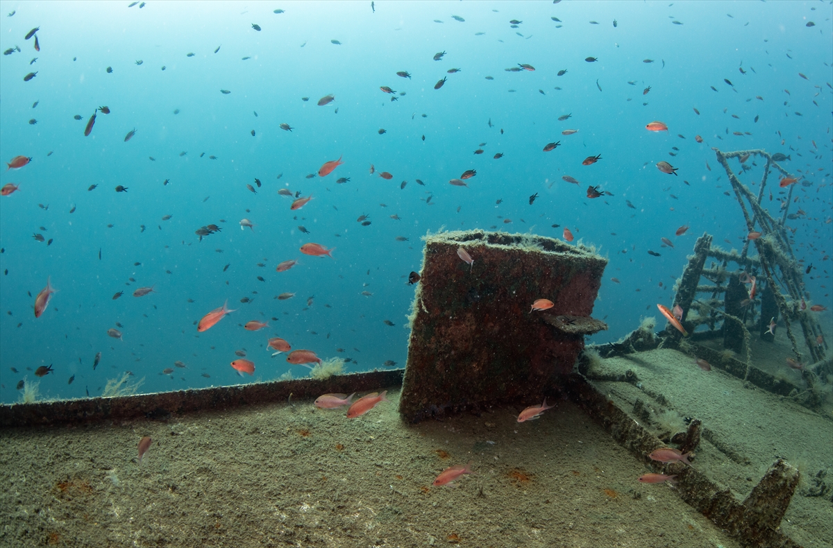Karaburun'un su altı güzellikleri