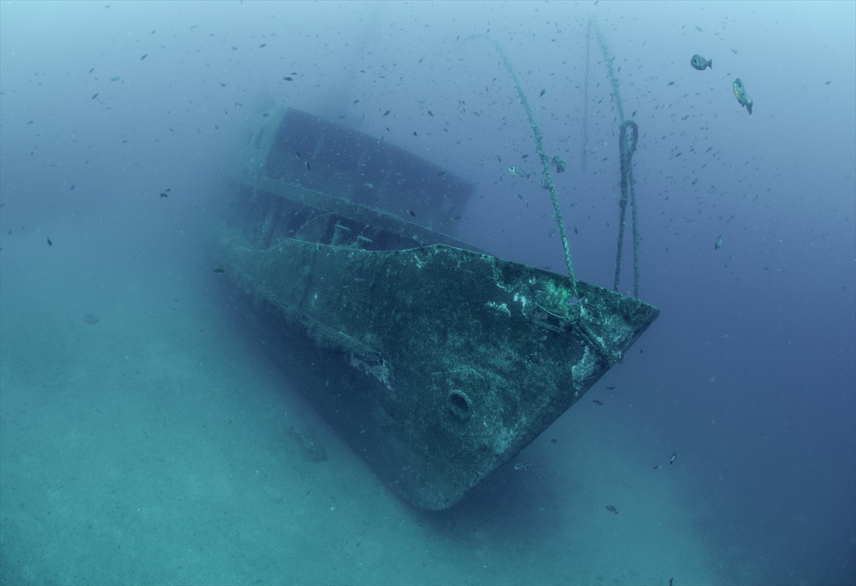 Karaburun'un su altı güzellikleri
