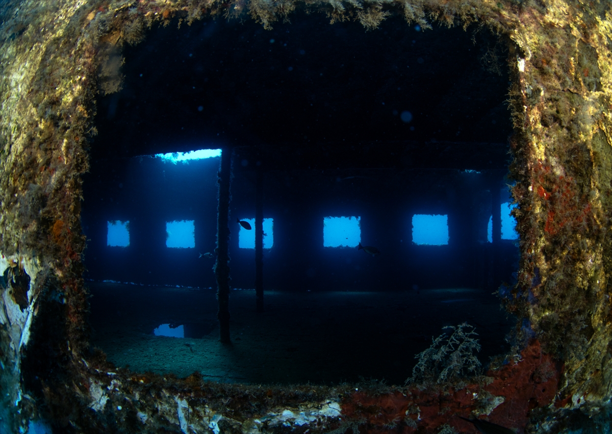 Karaburun'un su altı güzellikleri