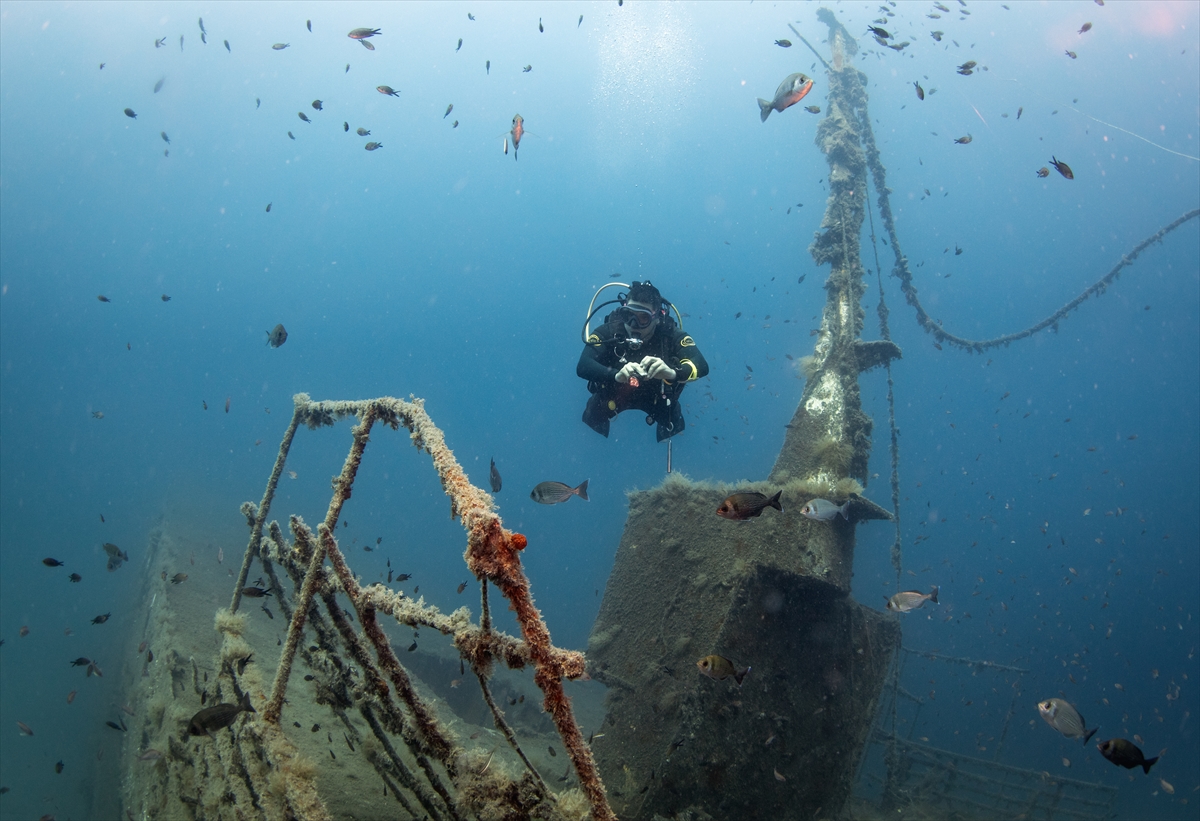Karaburun'un su altı güzellikleri