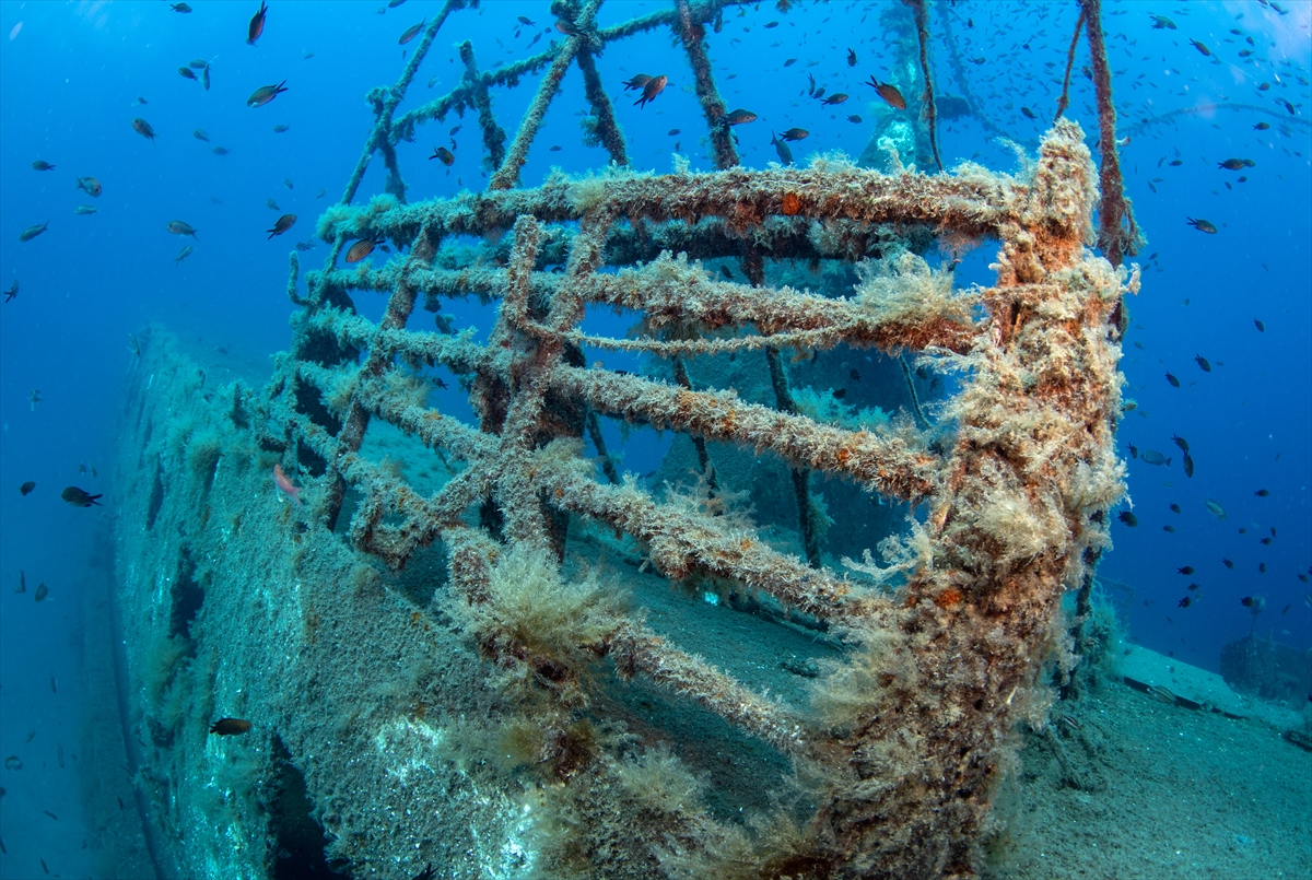 Karaburun'un su altı güzellikleri