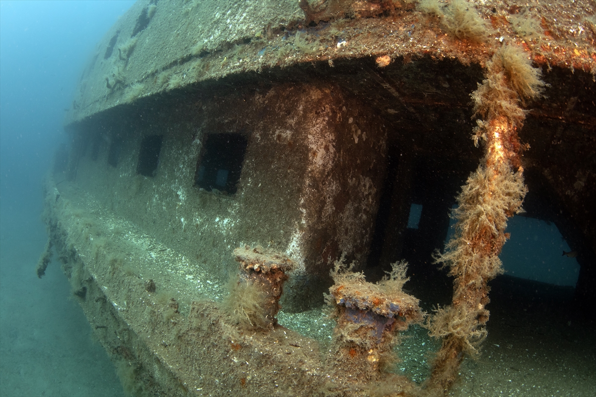 Karaburun'un su altı güzellikleri