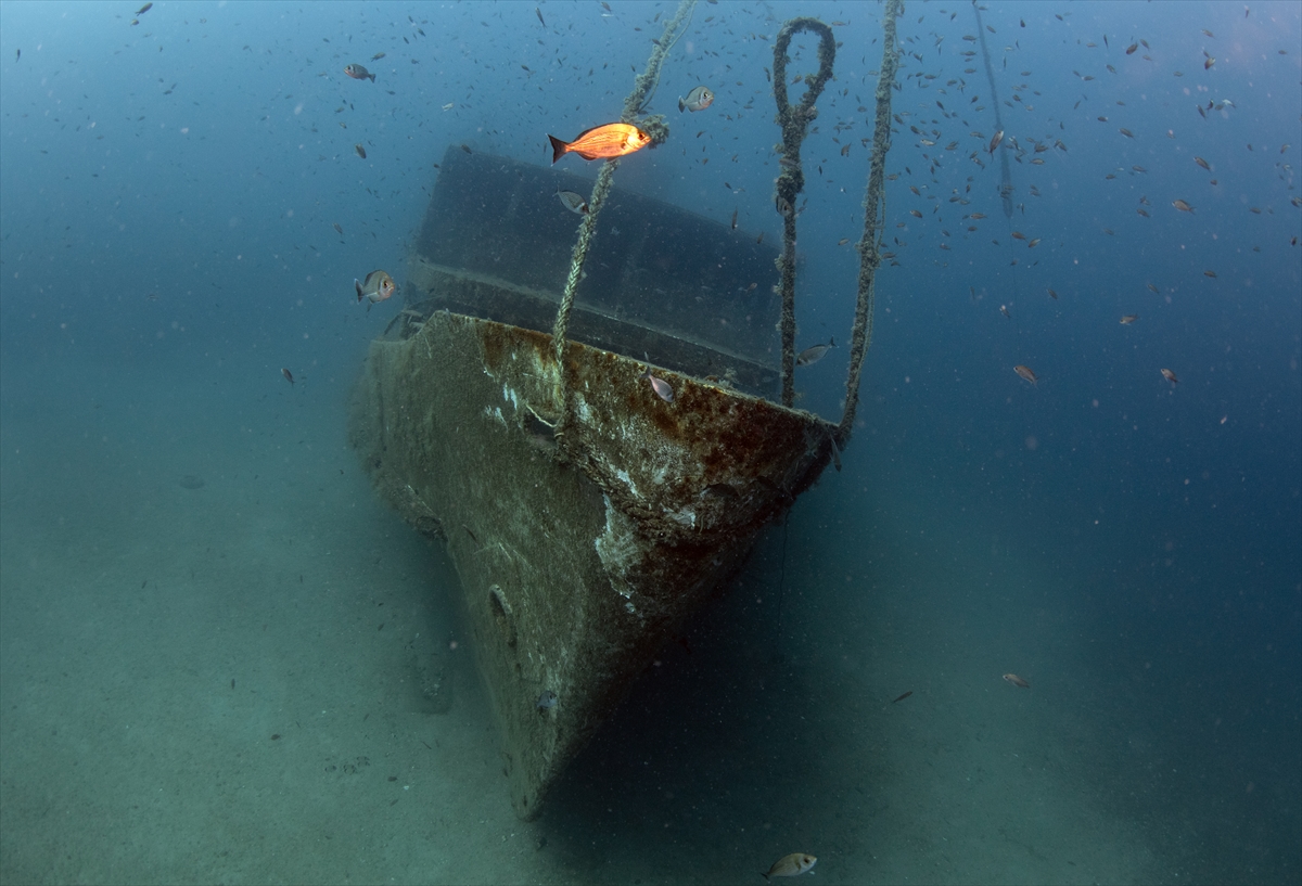 Karaburun'un su altı güzellikleri