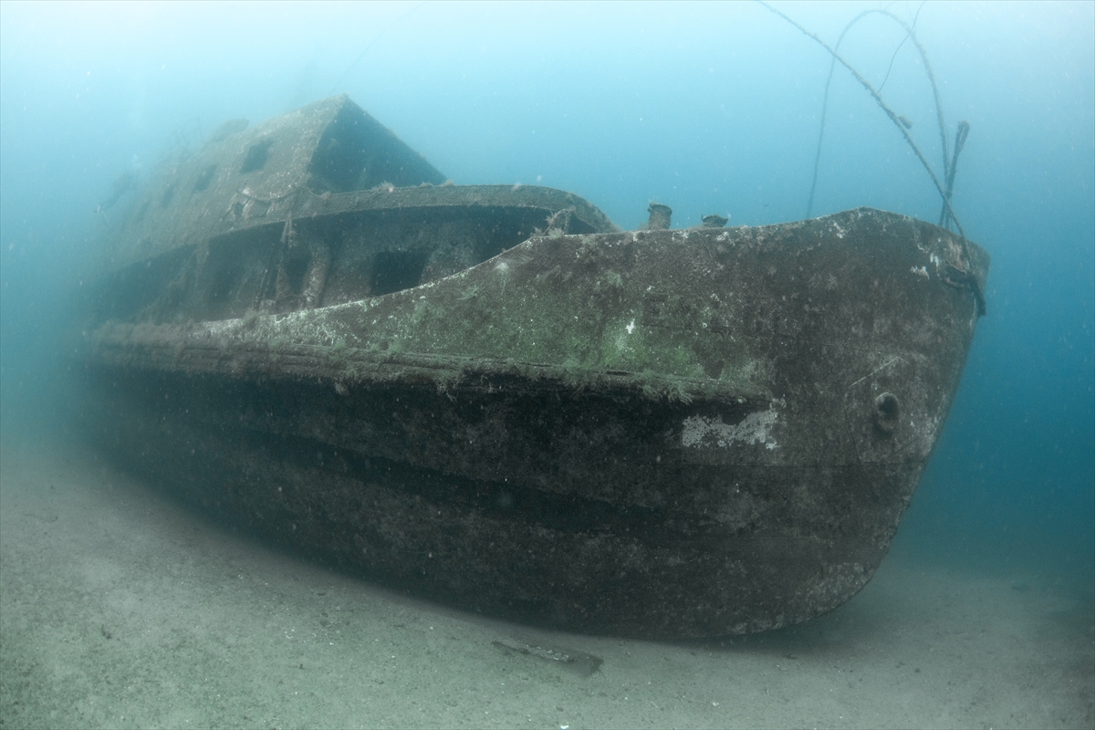 Karaburun'un su altı güzellikleri