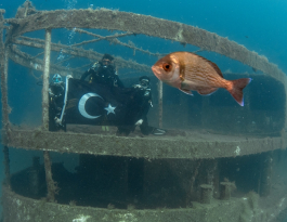 Karaburun'un su altı güzellikleri