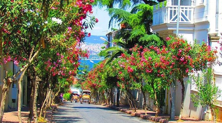 Adalar a giriş çıkış yasağı sona eriyor