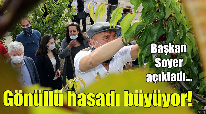 Başkan Soyer açıkladı... Gönüllü hasadı büyüyor...