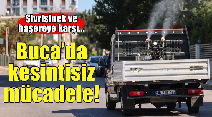 Buca’da ilaçlama atağı