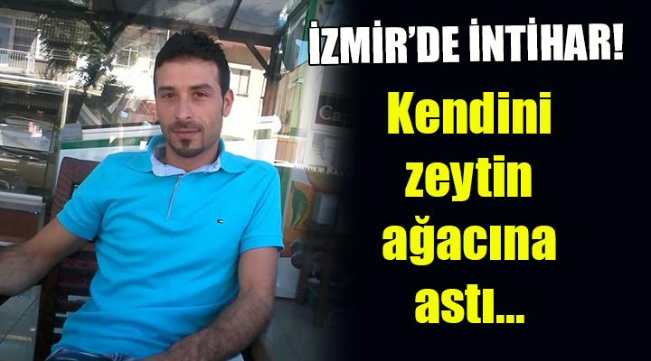 İzmir de intihar... Kendini zeytin ağacına astı