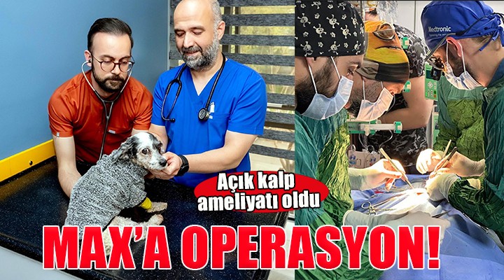  Max , açık kalp cerrahisi ile hayata tutundu