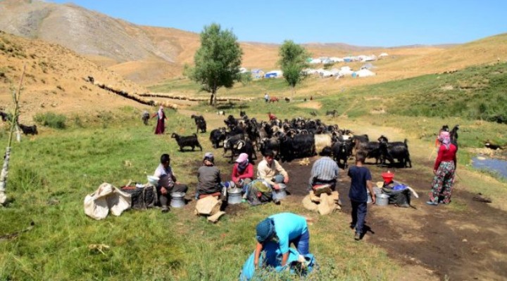  TİGEM’in Ceylanpınar arazisinde 40 yıllık işgal 