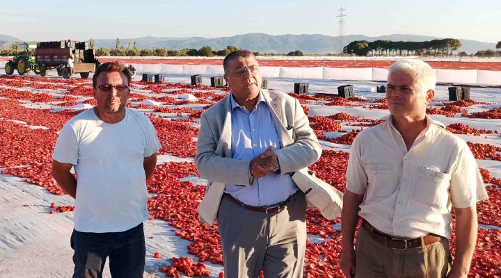  Üretici zarar ediyor, hükümet üç maymunu oynuyor 