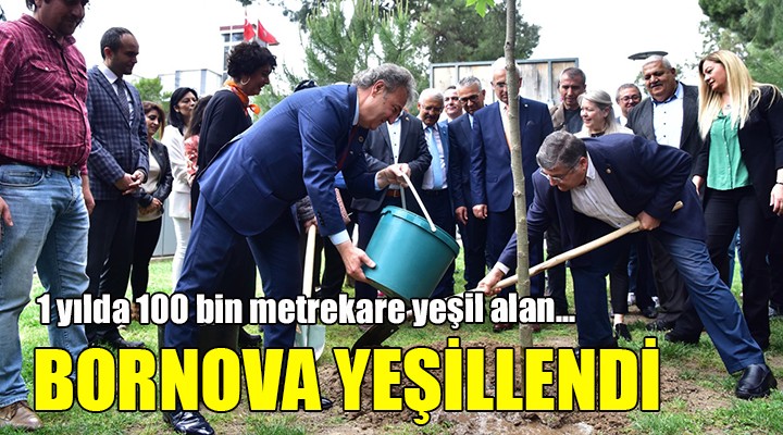 1 yılda 100 bin metrekare yeşil alan... BORNOVA YEŞİLLENDİ