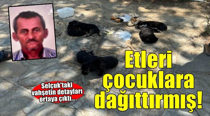 10 köpek ile 5 kedinin öldüğü olayda, şüpheli, etleri çocuklara dağıttırmış