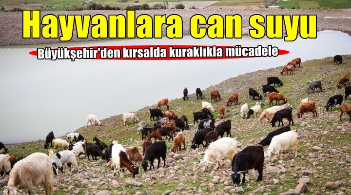100 göletle hayvanlara can suyu