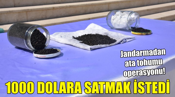 1000 dolara satmak istedi!