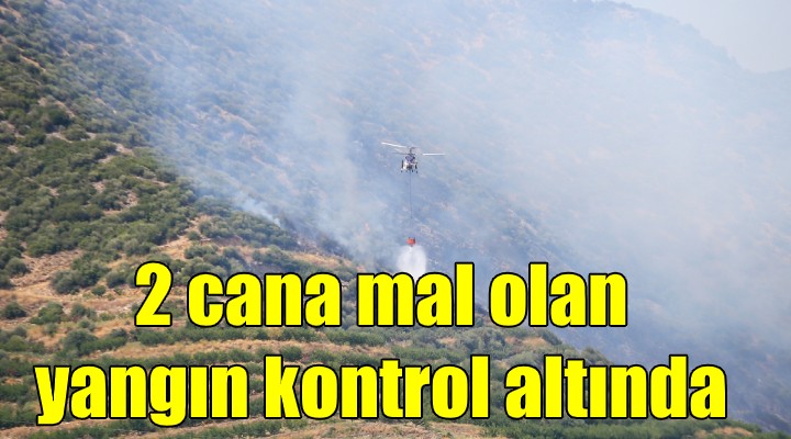 2 cana mal olan o yangın kontrol altına alındı!