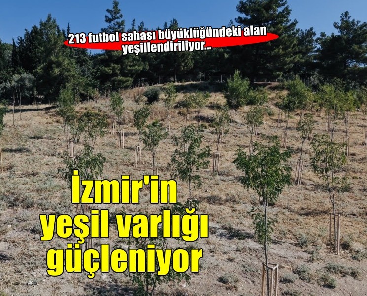 213 futbol sahası büyüklüğünde alan yeşeriyor