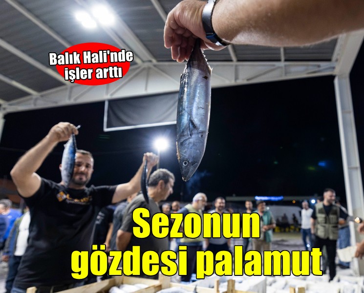 Balık halinde ilk ayda işlem hacmi 9 bin tonu aştı