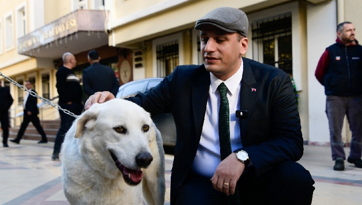 Başkan Eşki'den toplatılan can dostlarla ilgili açıklama... ''Onları çaresizliğe terk etmeyeceğiz''