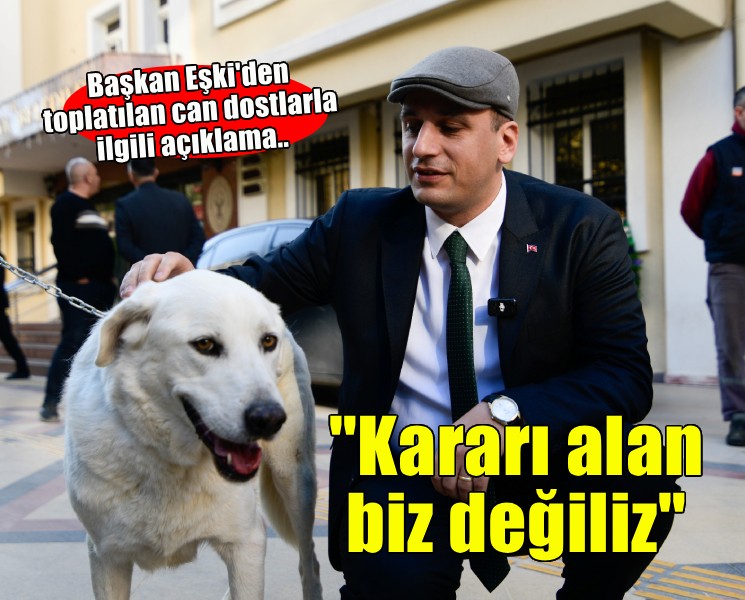 Başkan Eşki'den toplatılan can dostlarla ilgili açıklama... ''Onları çaresizliğe terk etmeyeceğiz''