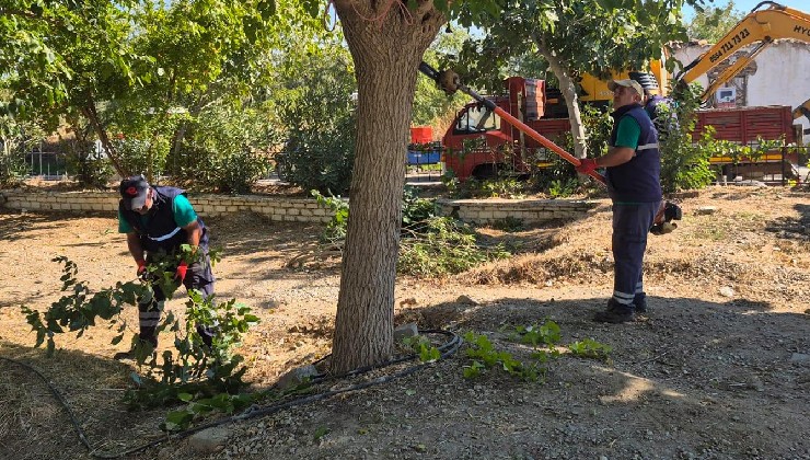 Başkan Yetişkin’in öncülüğünde Efeler’in yeşil alanlarına özenli dokunuş