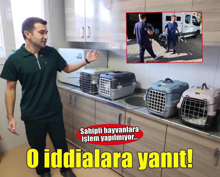 Buca Belediyesi’nden iddialara yanıt, hayvanseverlerden destek