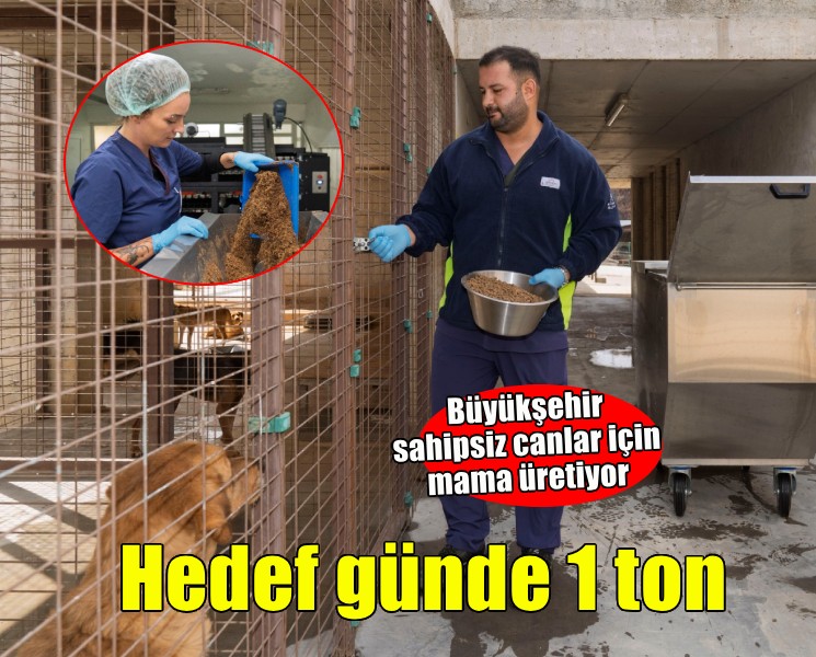 Büyükşehir sahipsiz canlar için kendi mamasını üretiyor