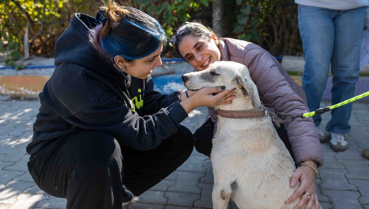 Can dostları yeni sahipleriyle buluştu