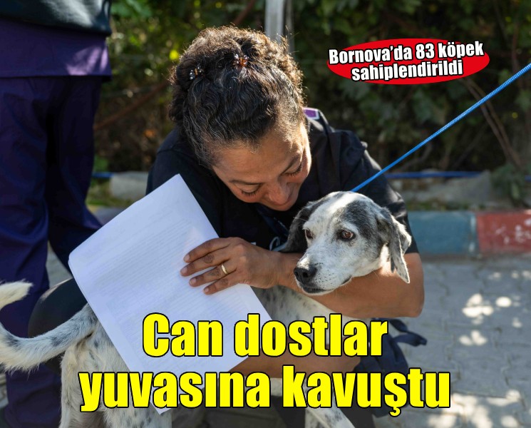 Can dostları yeni sahipleriyle buluştu