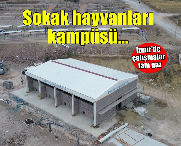 Dikili’ye tam teşekküllü sokak hayvanları kampüsü